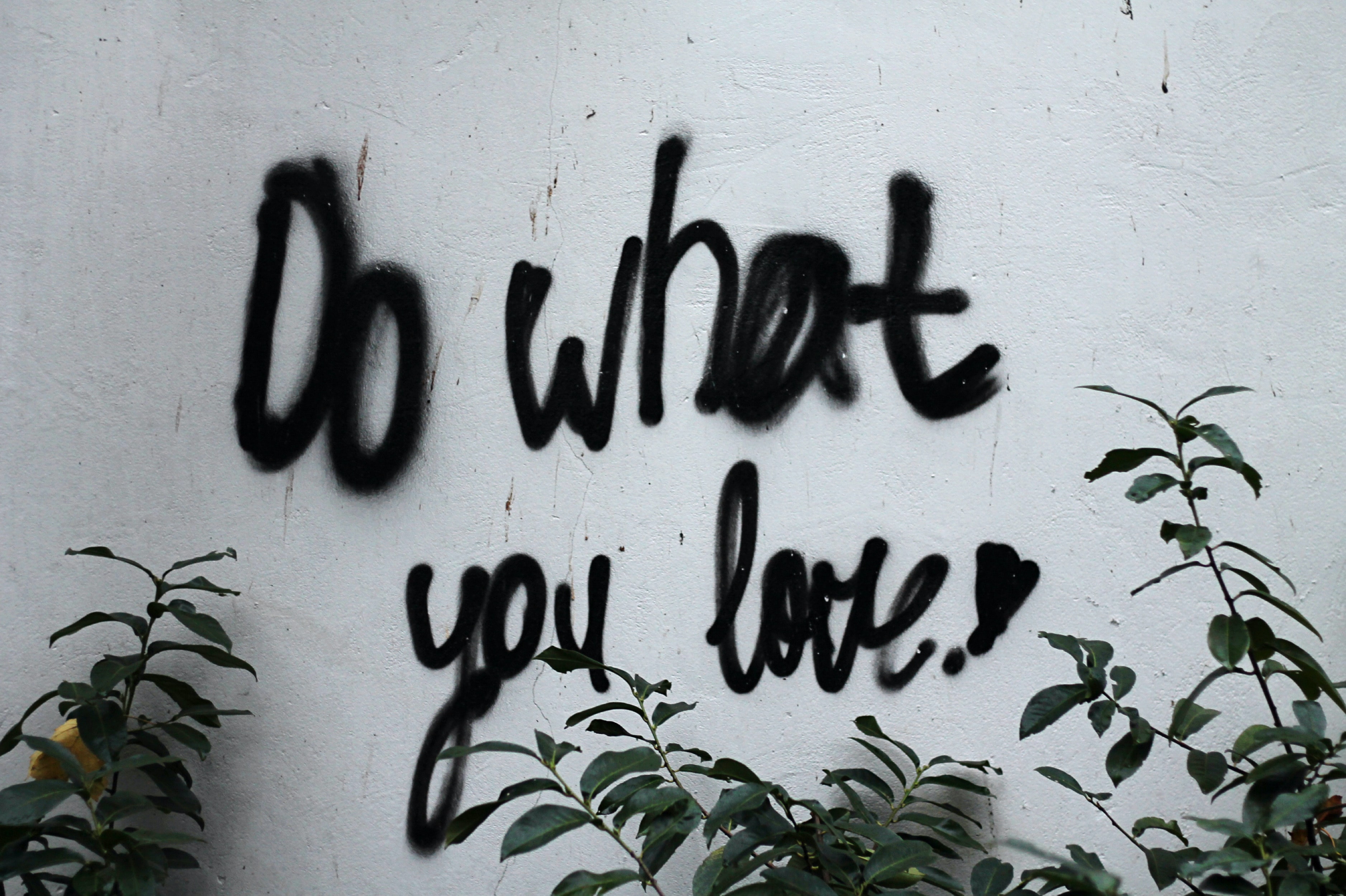 Do what you love!